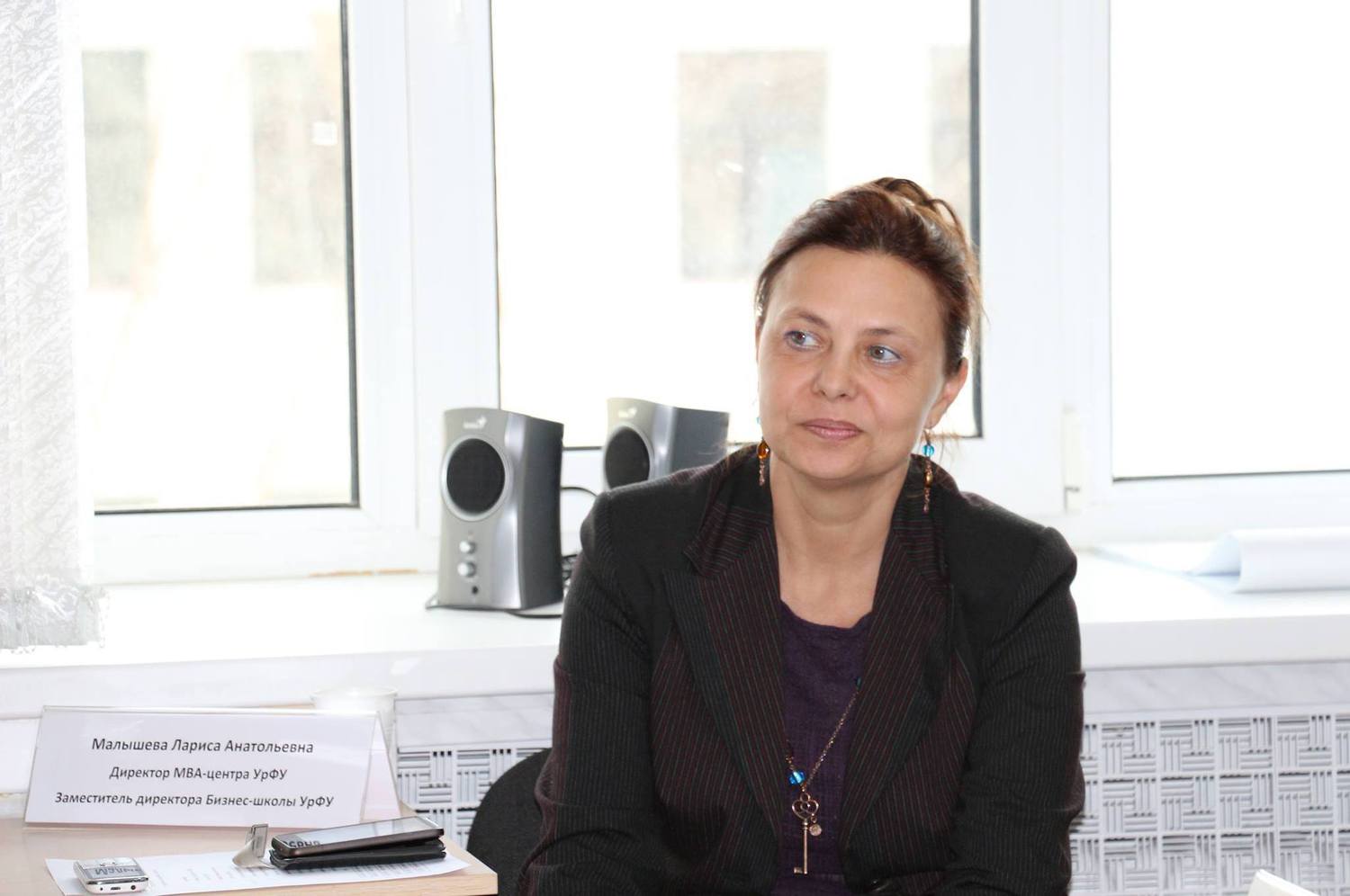 Описание изображения